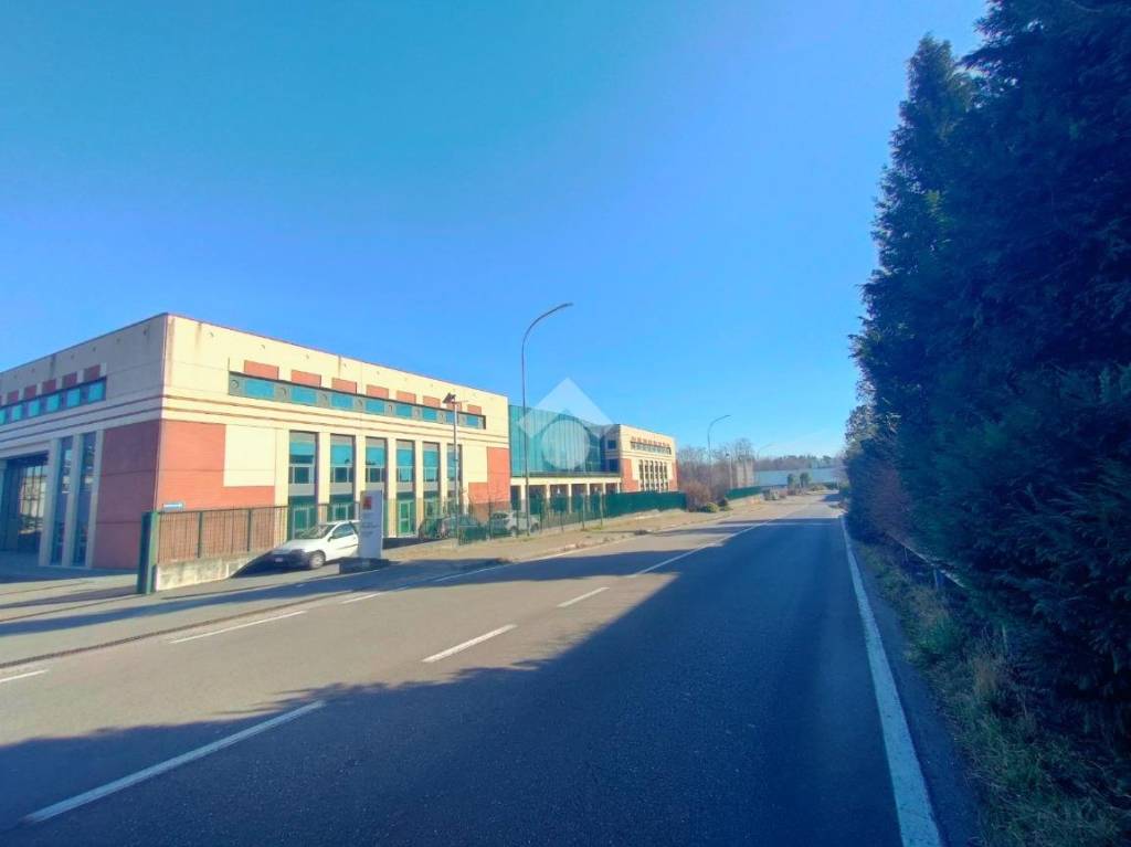 immagine annuncio 10 di 15