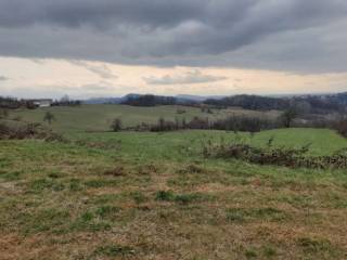 Terreno agricolo in vendita a cassano spinola località cassano spinola