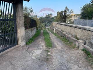 Terreno agricolo in affitto a paternò contrada schettino