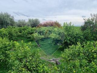 Terreno agricolo in vendita a paternò contrada leone, snc