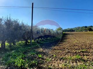 Terreno agricolo in vendita a serra san quirico via forchiusa est