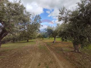 Terreno agricolo in vendita a santa flavia 