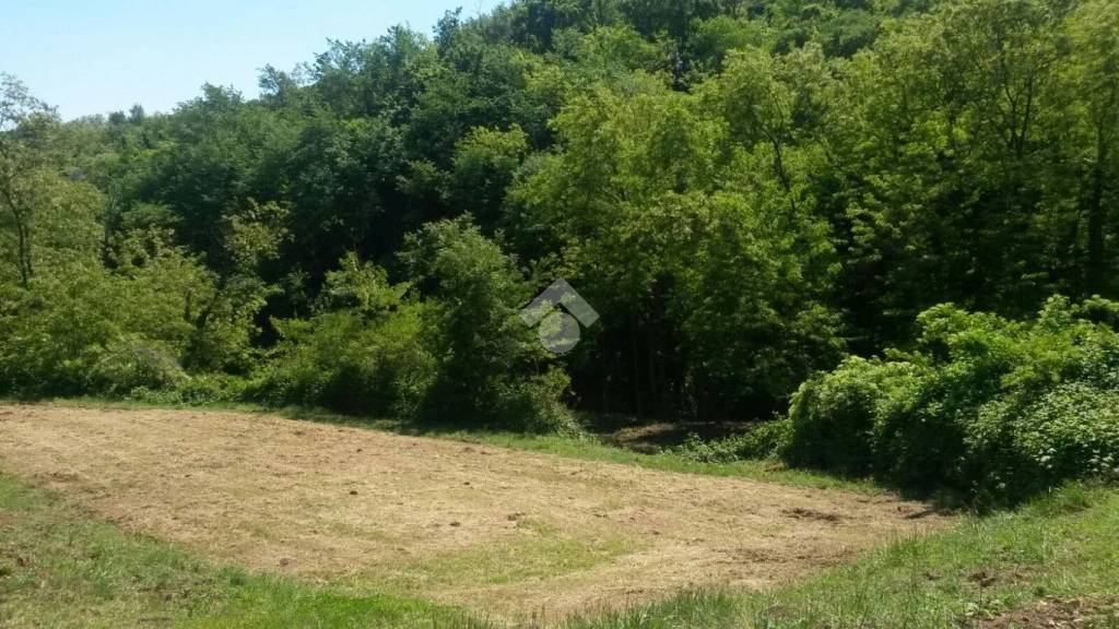 immagine annuncio 4 di 6