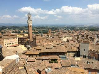 Appartamento in affitto a siena via delle terme