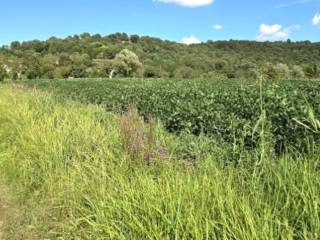 Terreno agricolo all'asta a vicenza strada di gogna