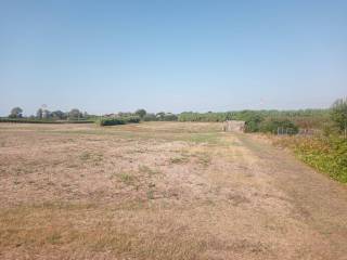 Terreno agricolo in vendita a cisterna di latina strada colle del tufo