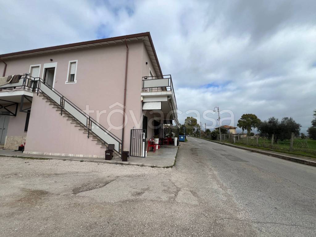 immagine annuncio 9 di 12