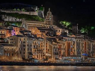 Negozio in affitto a portovenere via capellini