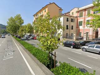 Appartamento in affitto a la spezia viale giovanni amendola