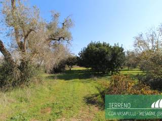 Terreno agricolo in vendita a mesagne contrada vasapulli