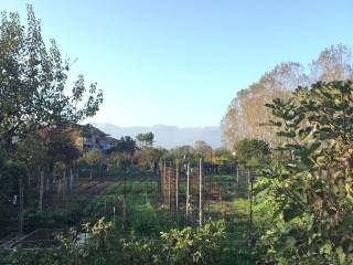 Terreno residenziale in vendita a ciriè via san maurizio