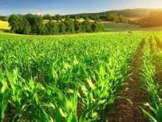 Terreno agricolo in vendita a usmate velate 