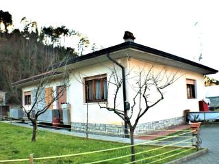 Villa in vendita a camaiore 