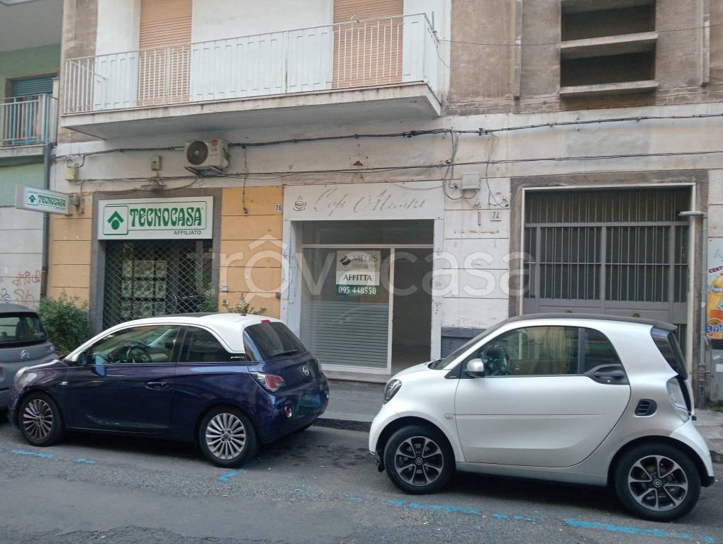 immagine annuncio 8 di 11