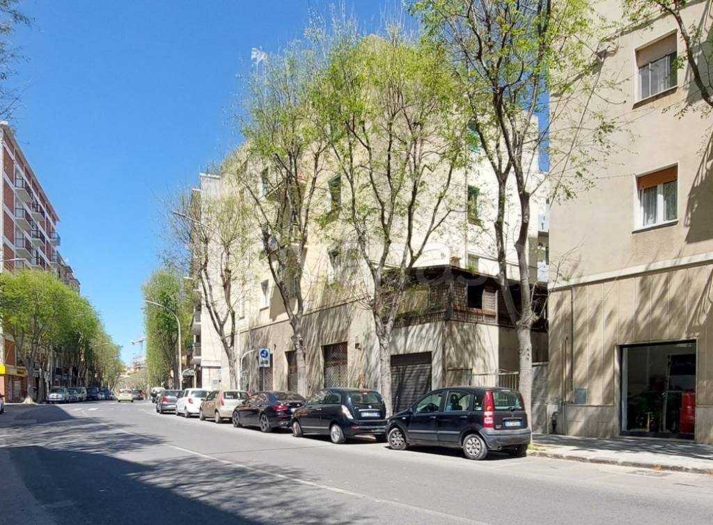 immagine annuncio 11 di 14