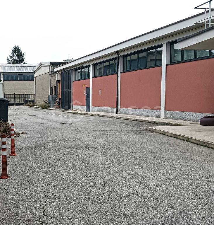immagine annuncio 6 di 15