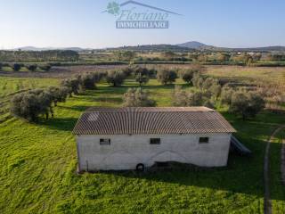 Magazzino in vendita a montalto di castro località gorello