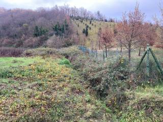 Terreno agricolo all'asta a pizzoli via campo rendina