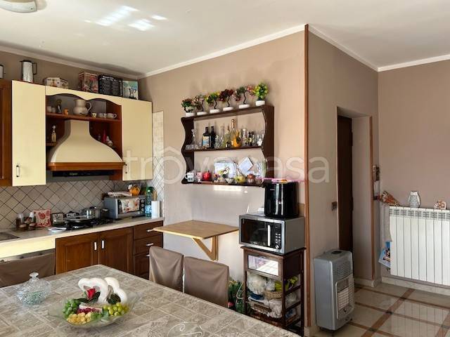 immagine annuncio 1 di 14