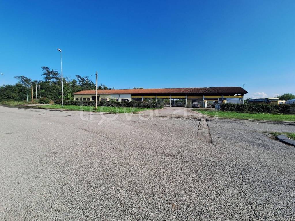 immagine annuncio 1 di 8