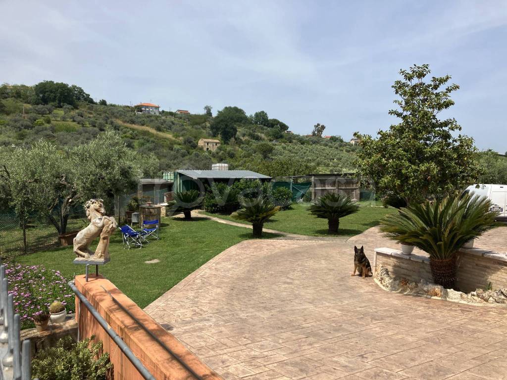 immagine annuncio 9 di 15