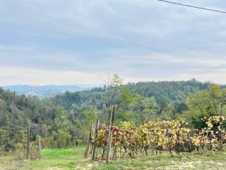 Cascina in vendita a montegrosso d'asti 