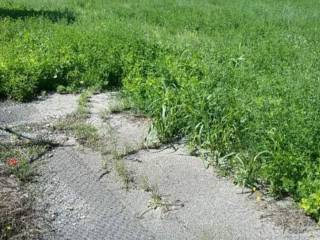 Terreno residenziale in affitto a terni via dell'impresa, 32