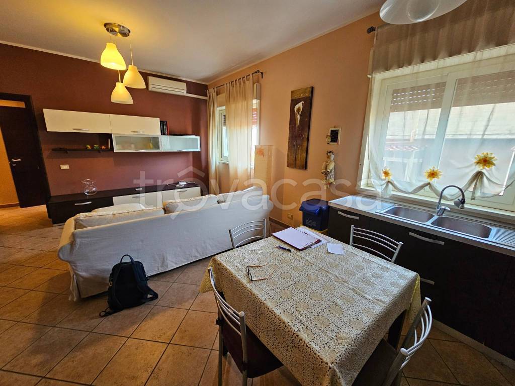 immagine annuncio 1 di 14