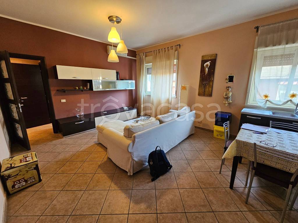 immagine annuncio 2 di 14