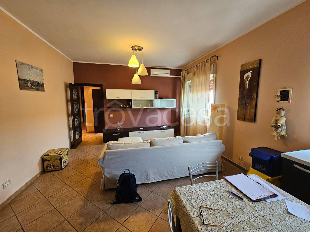 immagine annuncio 3 di 14