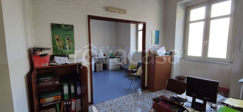 immagine annuncio 9 di 11