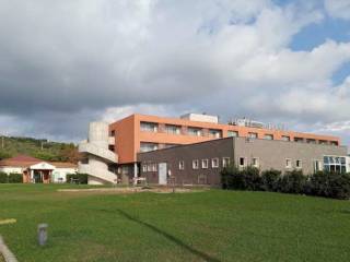 Albergo all'asta a campiglia marittima viale delle terme, 40