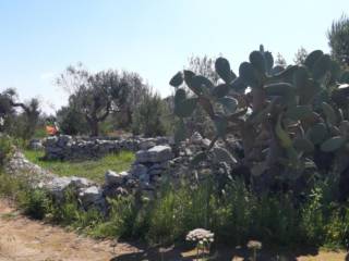 Terreno agricolo all'asta a morciano di leuca sp192