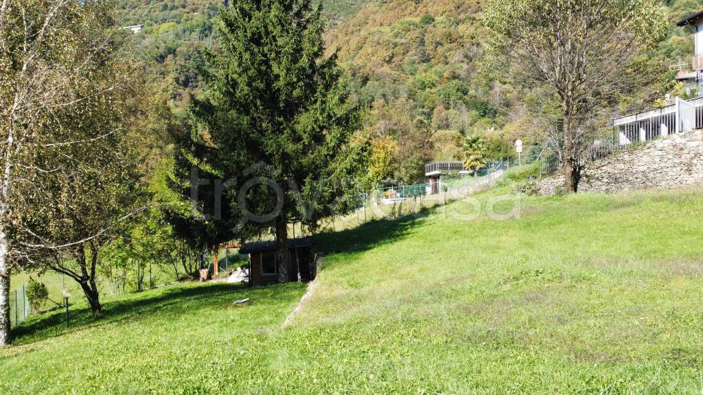 immagine annuncio 3 di 8