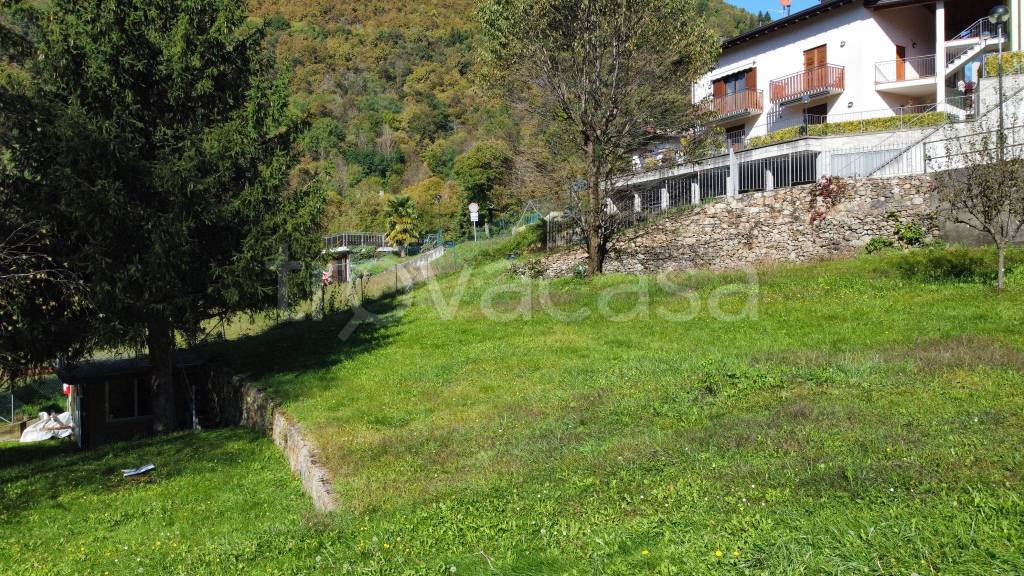 immagine annuncio 4 di 8