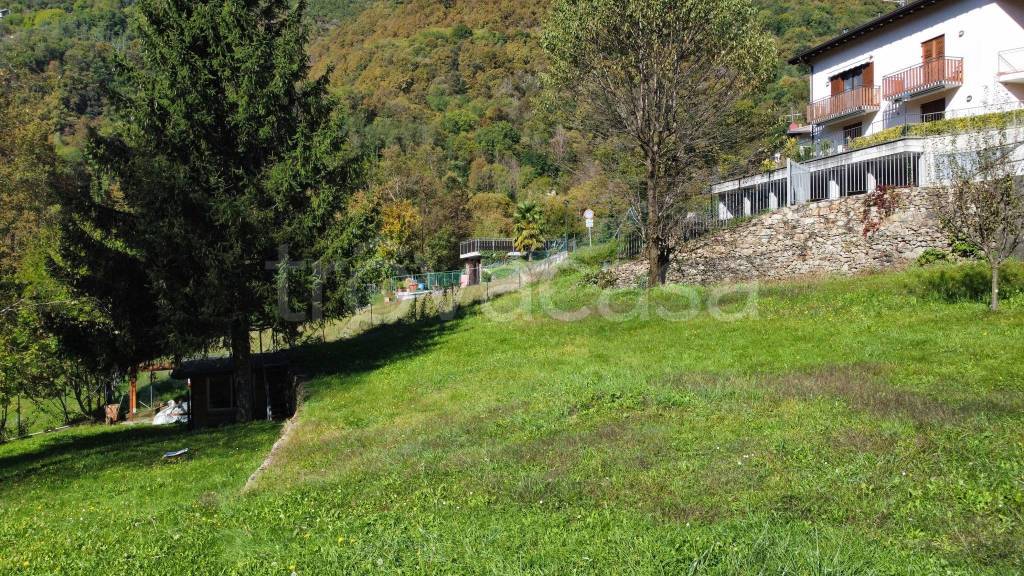 immagine annuncio 5 di 8