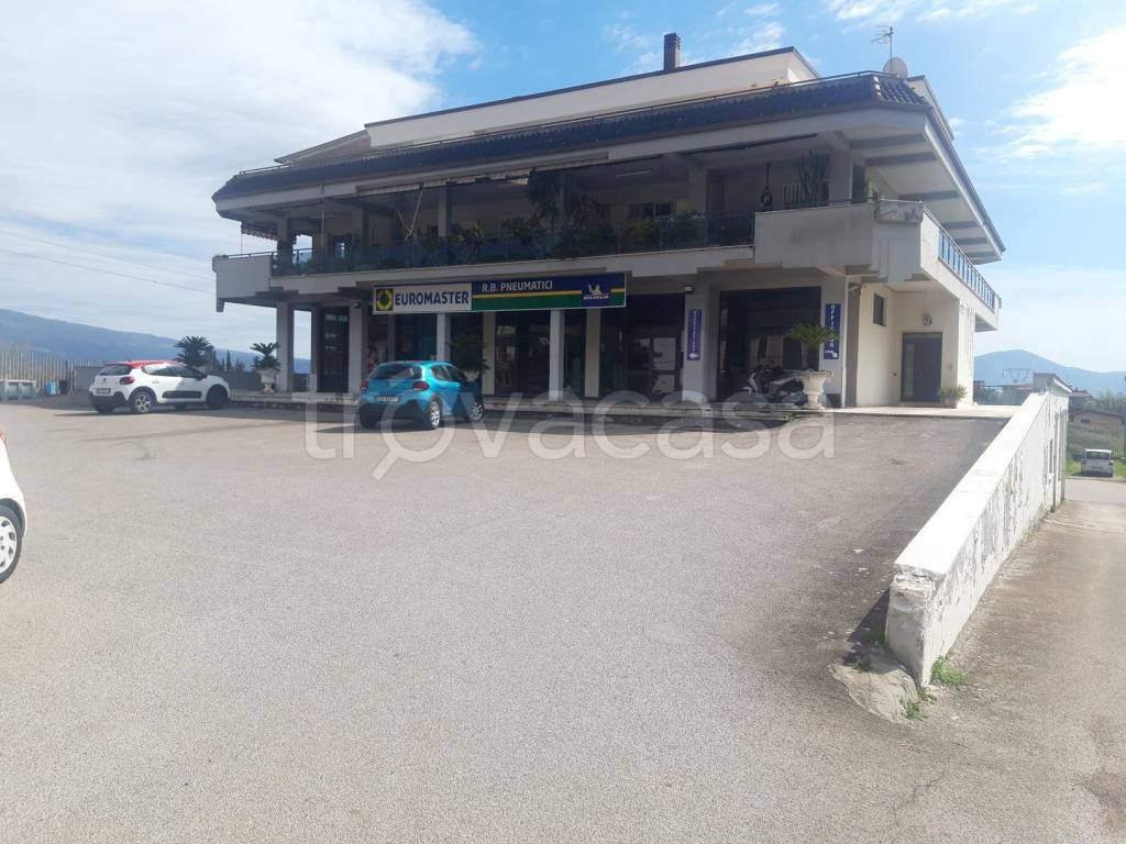 immagine annuncio 3 di 13