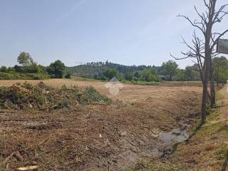 Terreno residenziale in vendita a fauglia via moltrete, 4