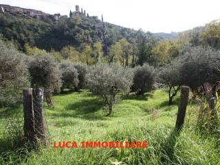 Terreno agricolo in vendita a buggiano via campioni, 2