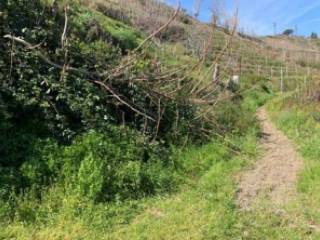 Terreno agricolo all'asta a pozzuoli via coste d'agnano