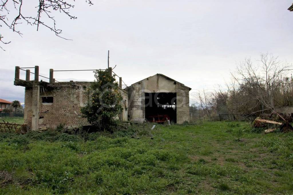 immagine annuncio 7 di 12