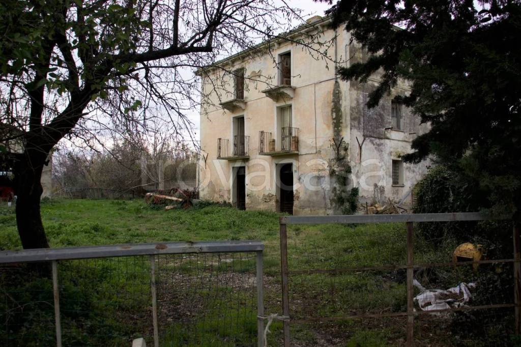immagine annuncio 4 di 12