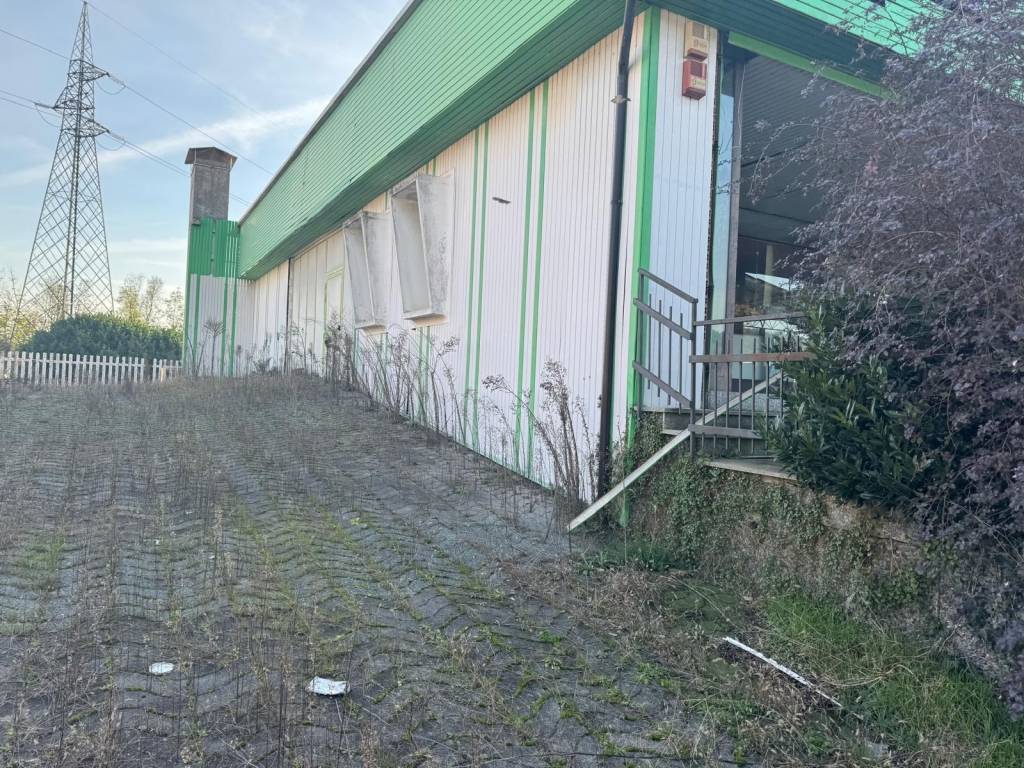 immagine annuncio 8 di 15