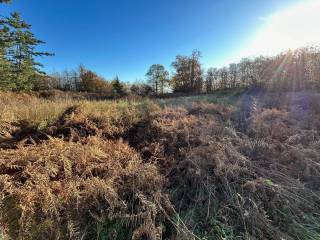 Terreno agricolo in vendita a marliana via poggio momigno