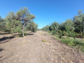 Terreno agricolo in vendita a siracusa via san giovanni bosco