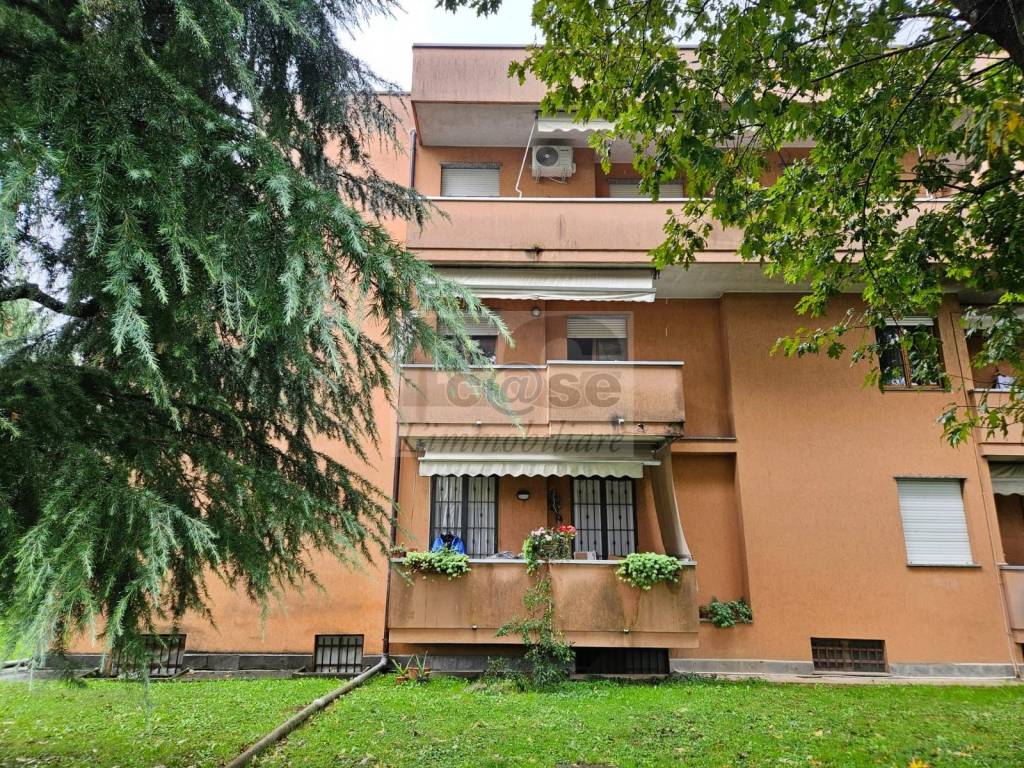 immagine annuncio 7 di 11