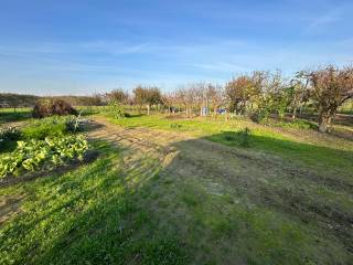 Terreno agricolo in vendita a vinovo 