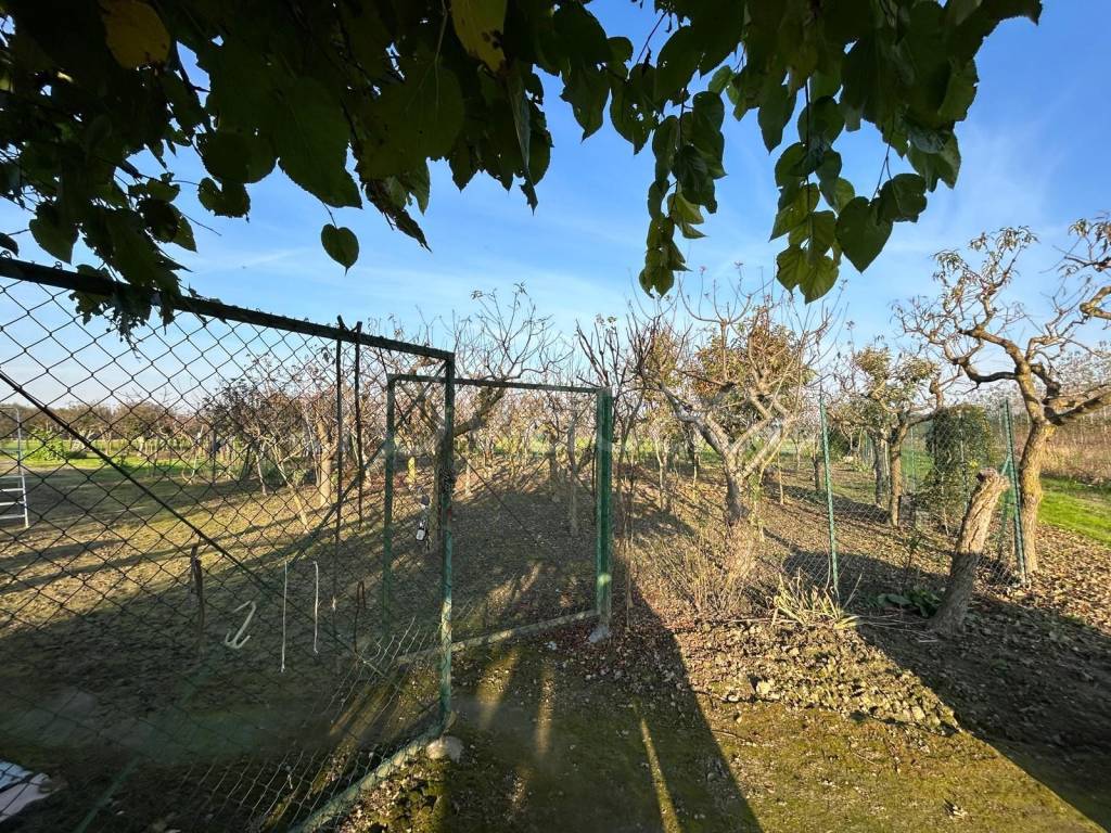 immagine annuncio 3 di 13
