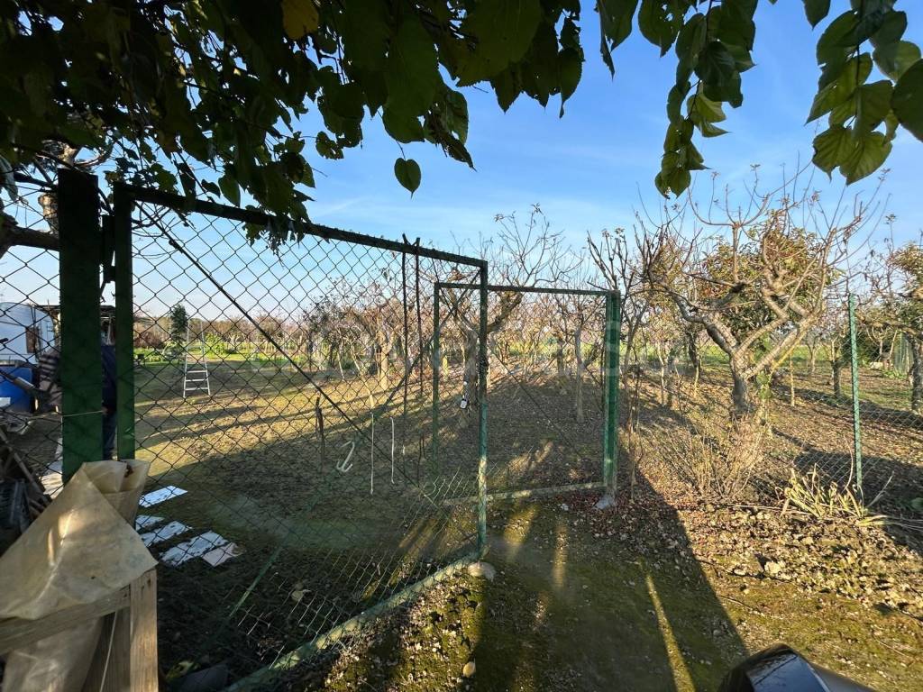 immagine annuncio 11 di 13