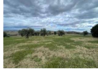 Terreno agricolo all'asta a falerone strada faleriense a monte